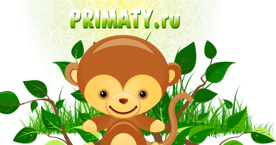 Приматы.ru - все об обезьянах